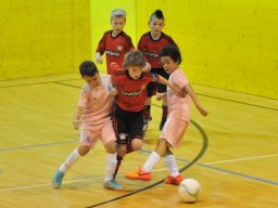 mini-DSC_7112
